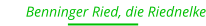 Benninger Ried, die Riednelke