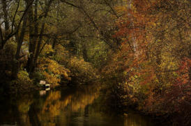 Die Riss im Herbst