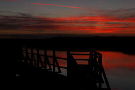 Federsee im Sonnenuntergang