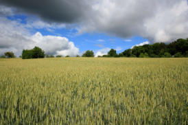 Schlechtwetterfront