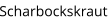 Scharbockskraut
