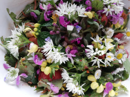 Wildkräutersalat mit Bärlauchblüten