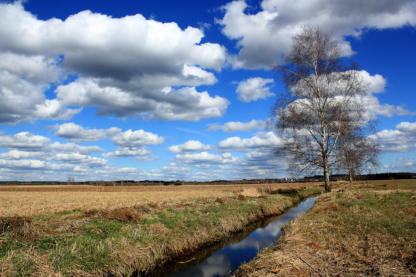 Malerisches Federsee Moor