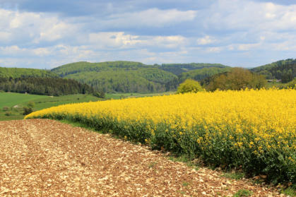 Am Fuße der schwäbischen Alb