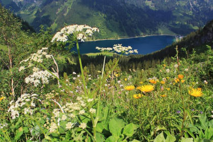 Sicht auf den Vilsalpsee